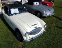 Sport Convertible